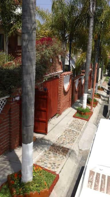 Amazingly Romantic Vacation For Your Honeymoon Tijuana Extérieur photo