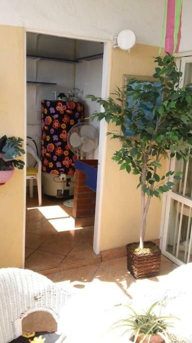 Amazingly Romantic Vacation For Your Honeymoon Tijuana Extérieur photo