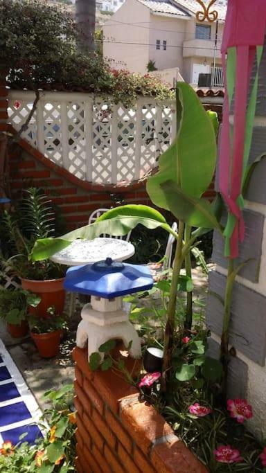 Amazingly Romantic Vacation For Your Honeymoon Tijuana Extérieur photo