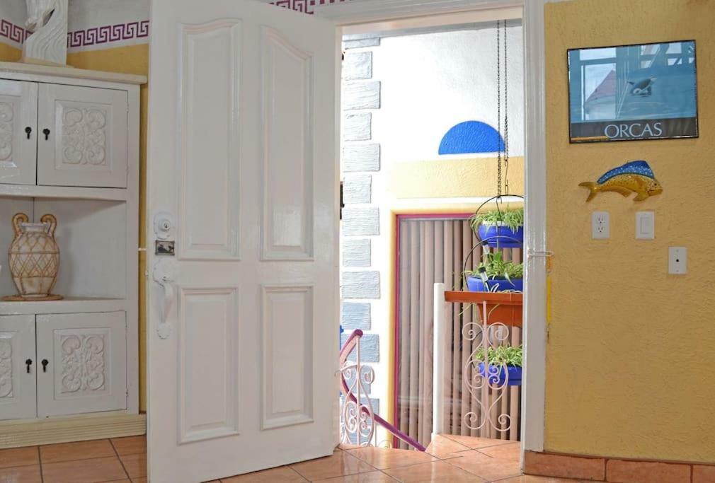 Amazingly Romantic Vacation For Your Honeymoon Tijuana Extérieur photo